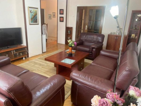 Family Apartment Ivanovic